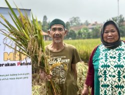 Komunitas Mari Sejahterakan Petani Gelar Panen Raya di Purwakarta