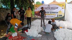 Tebar Kebaikan, Partai Golkar Purwakarta Bagikan Ratusan Paket Daging Qurban