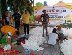 Tebar Kebaikan, Partai Golkar Purwakarta Bagikan Ratusan Paket Daging Qurban