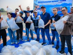 PJT II Dorong Kelestarian Perairan Melalui Penebaran Benih Ikan Serentak